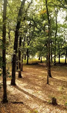 Ardmore Camper's Friend photo 3