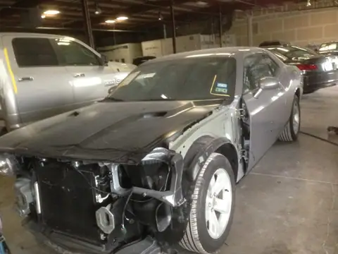 Ray Newton Collision photo 3