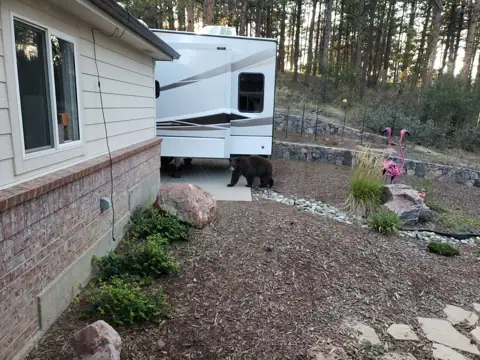 Golden Eagle RV, LLC photo 2