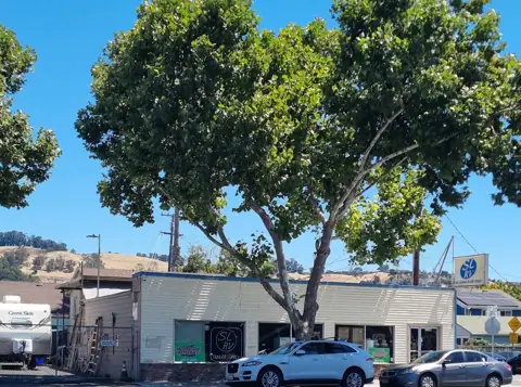 San Leandro RV And Trailer photo 3