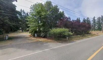 RV Alpacas in Rainier, WA