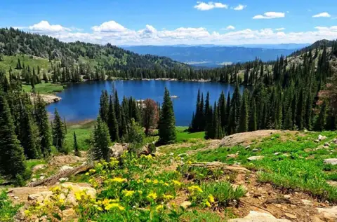 Dan's Mobile RV Service photo 2