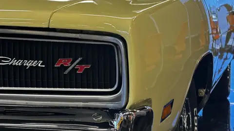 Classic Rescue LLC in Bradenton, FL