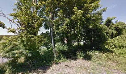 Ulster Rv LLC in Kingston, NY