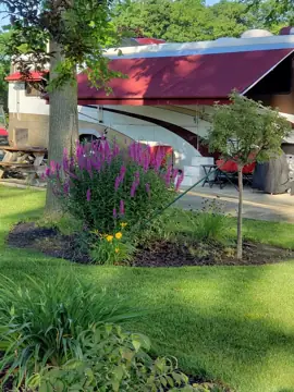 Wilson RV photo 3