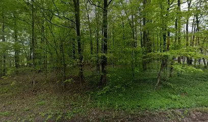 Todd's Reliable Mobile RV Repair in Blossvale, NY