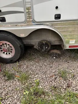 Shaynes Rv & Truck photo 3