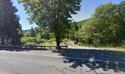 On Site Mobile RV in Drain, OR