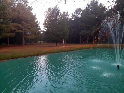 Lovin' Life RV Park and Country Store photo 3